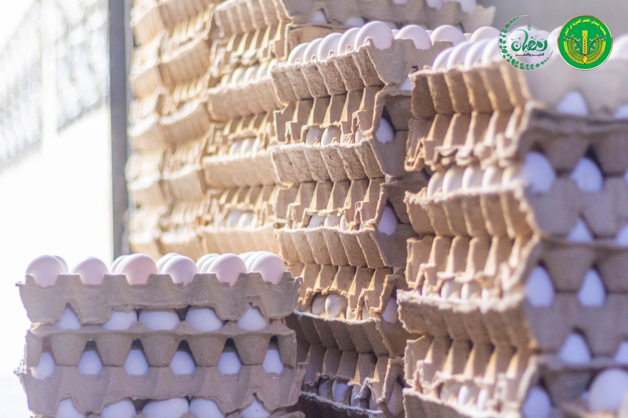 تم الانتهاء من توزيع رواتب المدرجين ل 1250 عائلة في شهر رمضان المبارك، مع تقديم بعض المساعدات💚✨